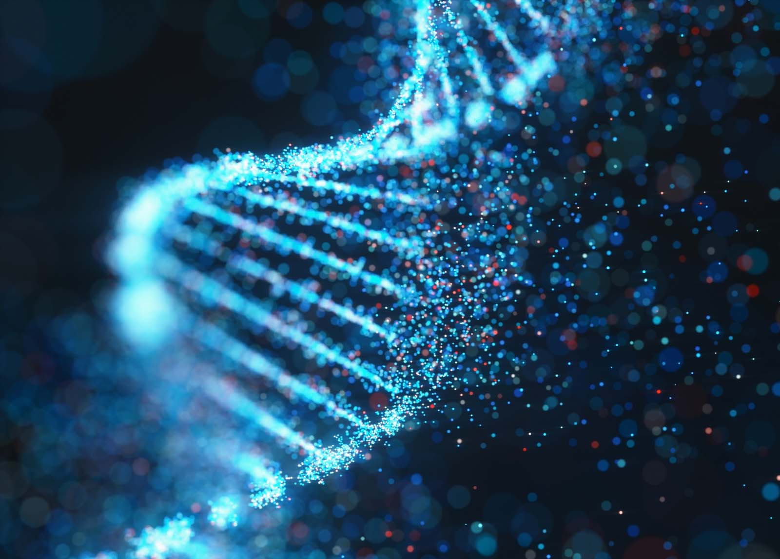 Technology<br>Overview