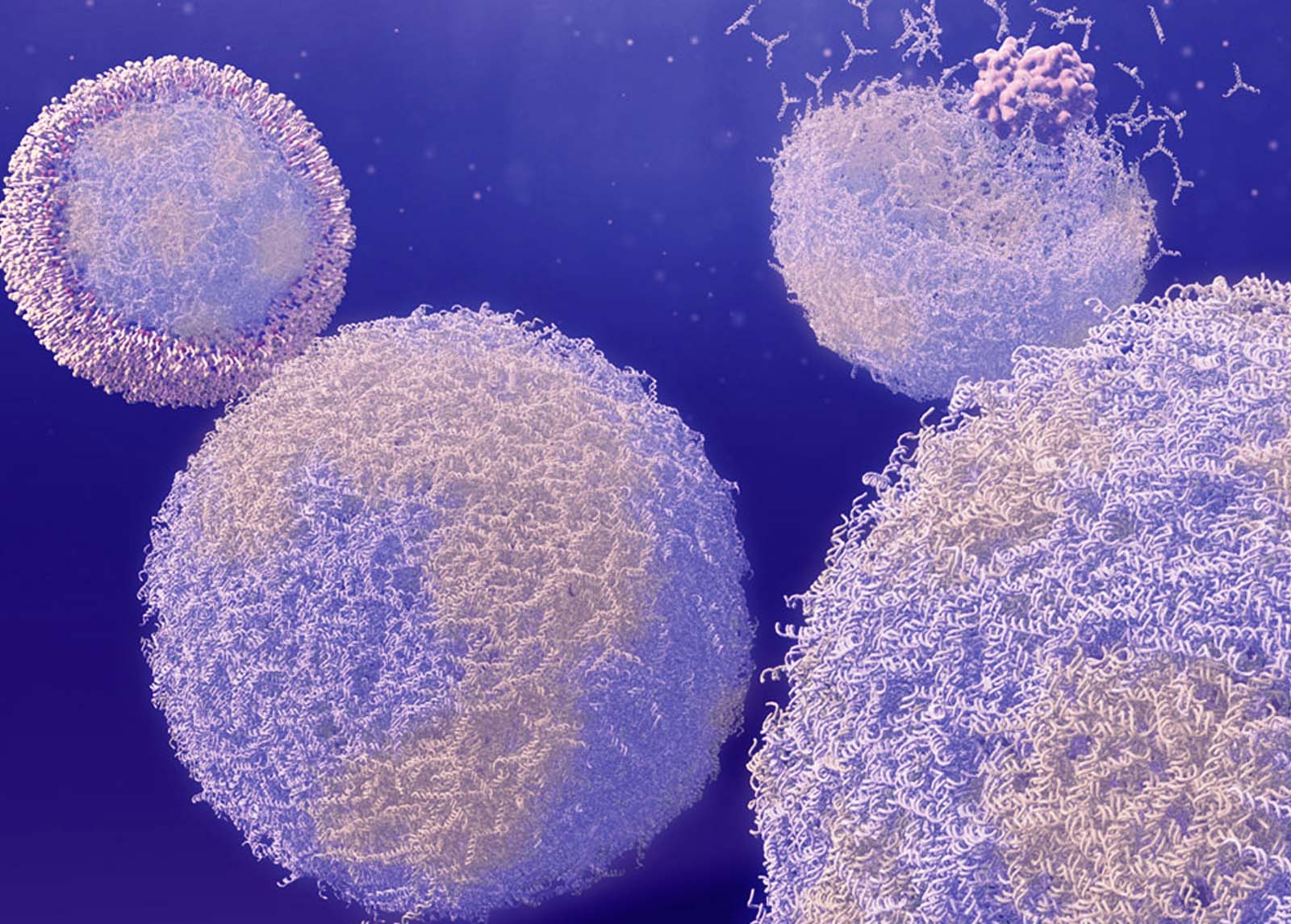 Researchers Manipulate Capsule-Like DNA Structures