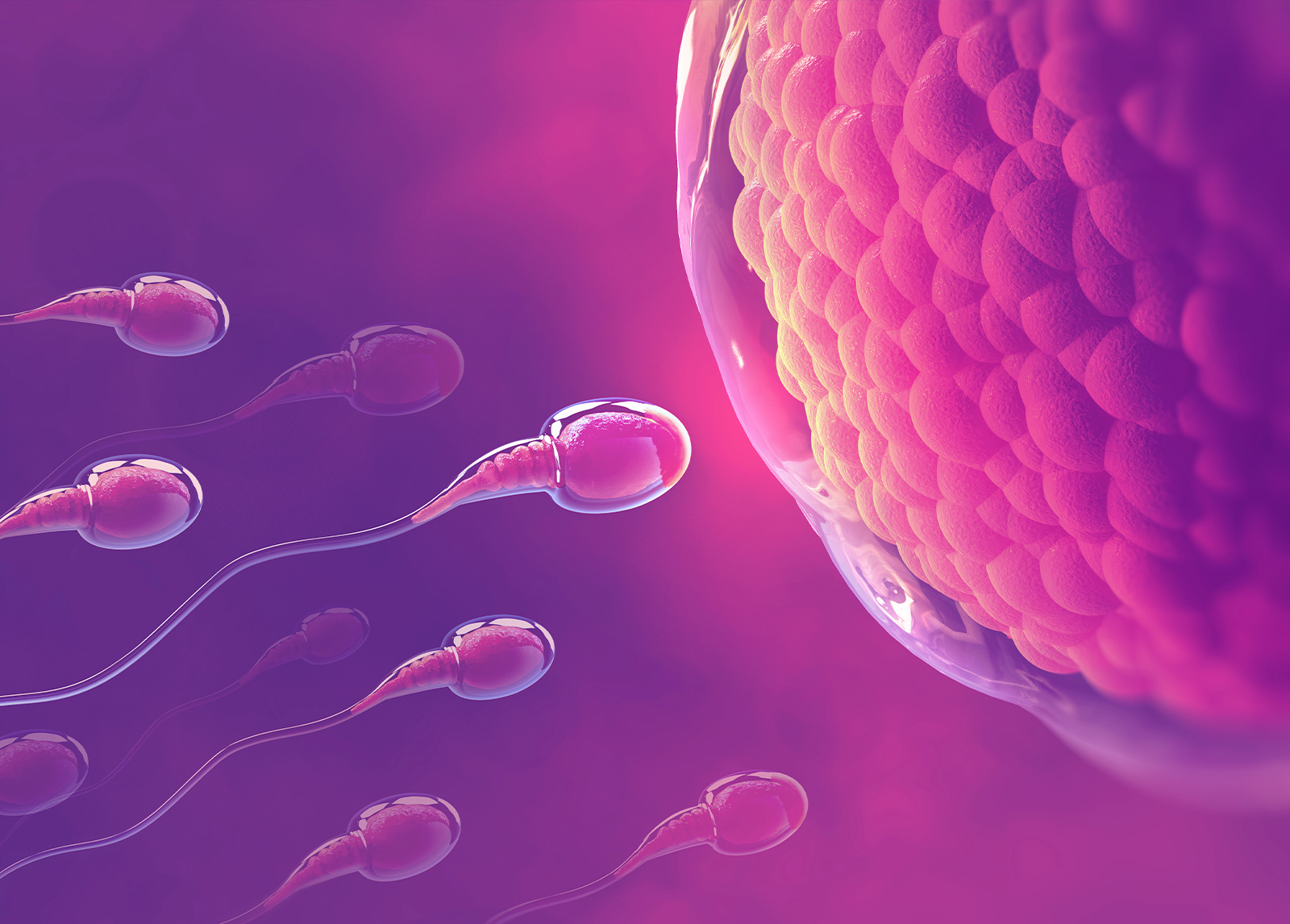 Pre-implantation genetic testing for IVF added to Medicare, Verzenio use expanded under PBS