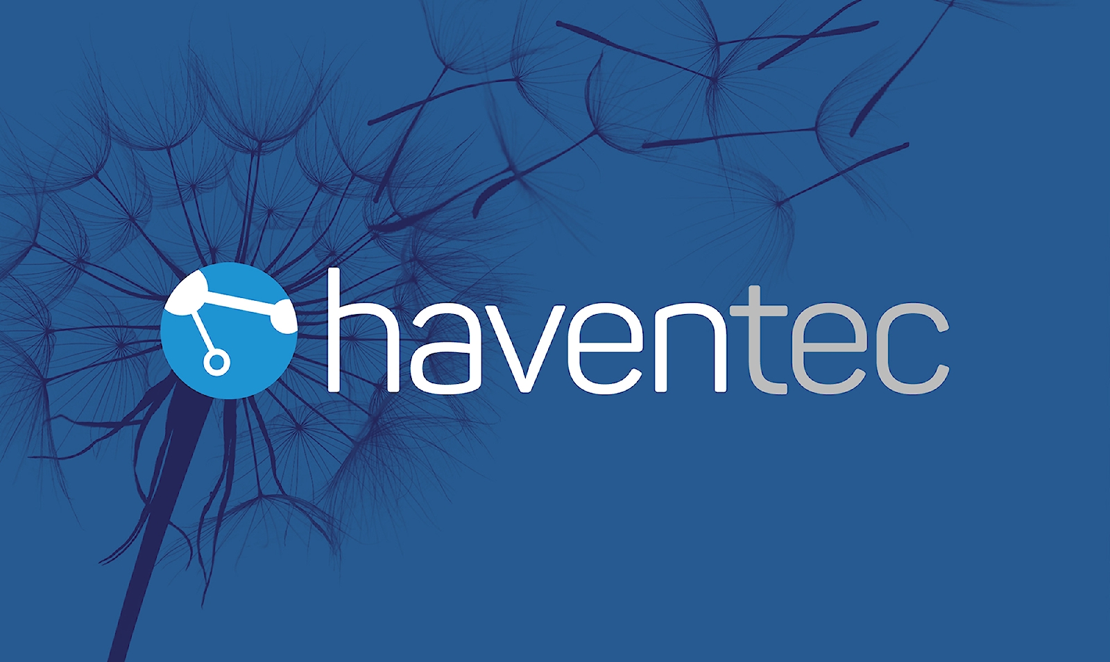 haventec-23strands-2020a